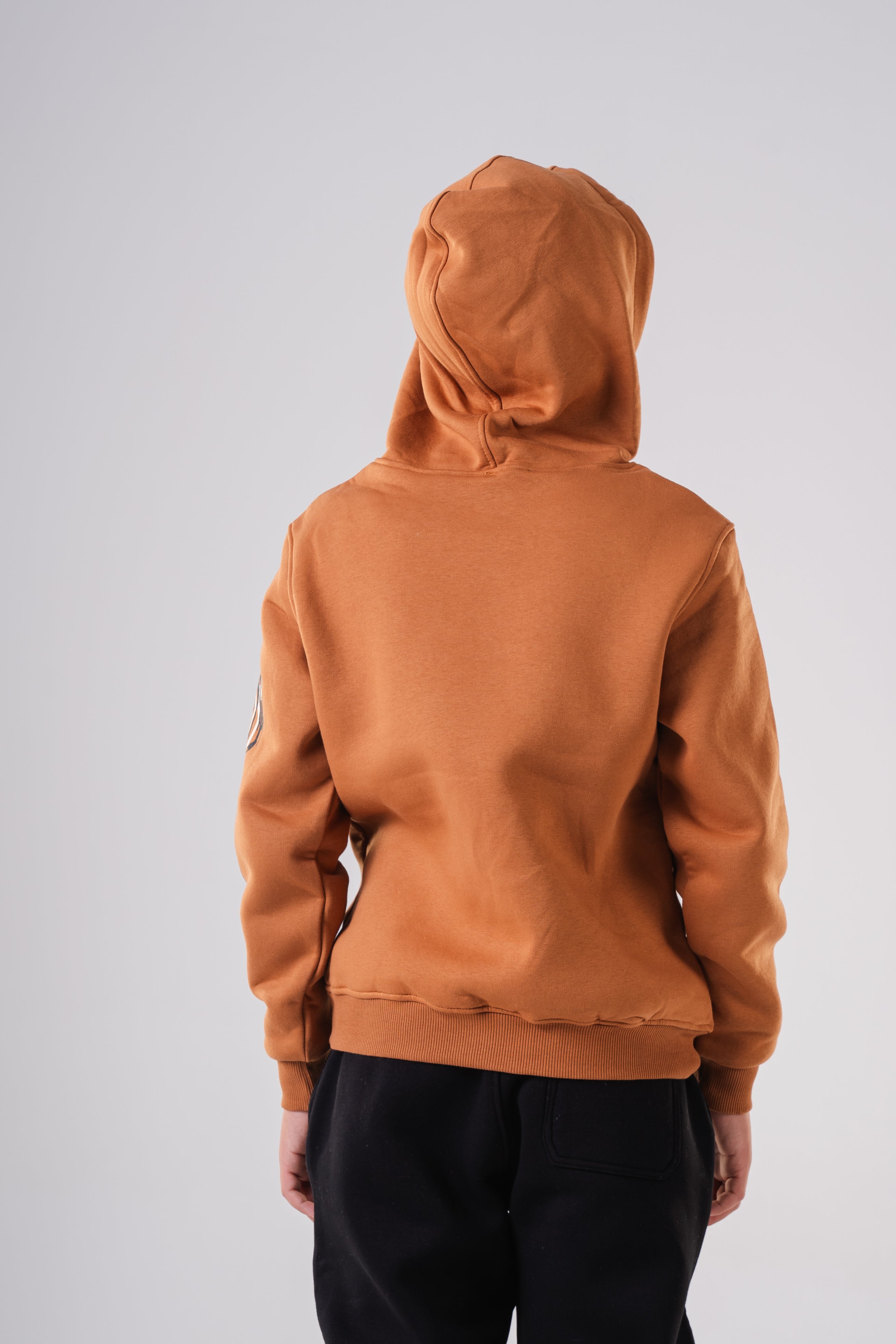 Boy's Tiger Stripe Sleeve Hoodie