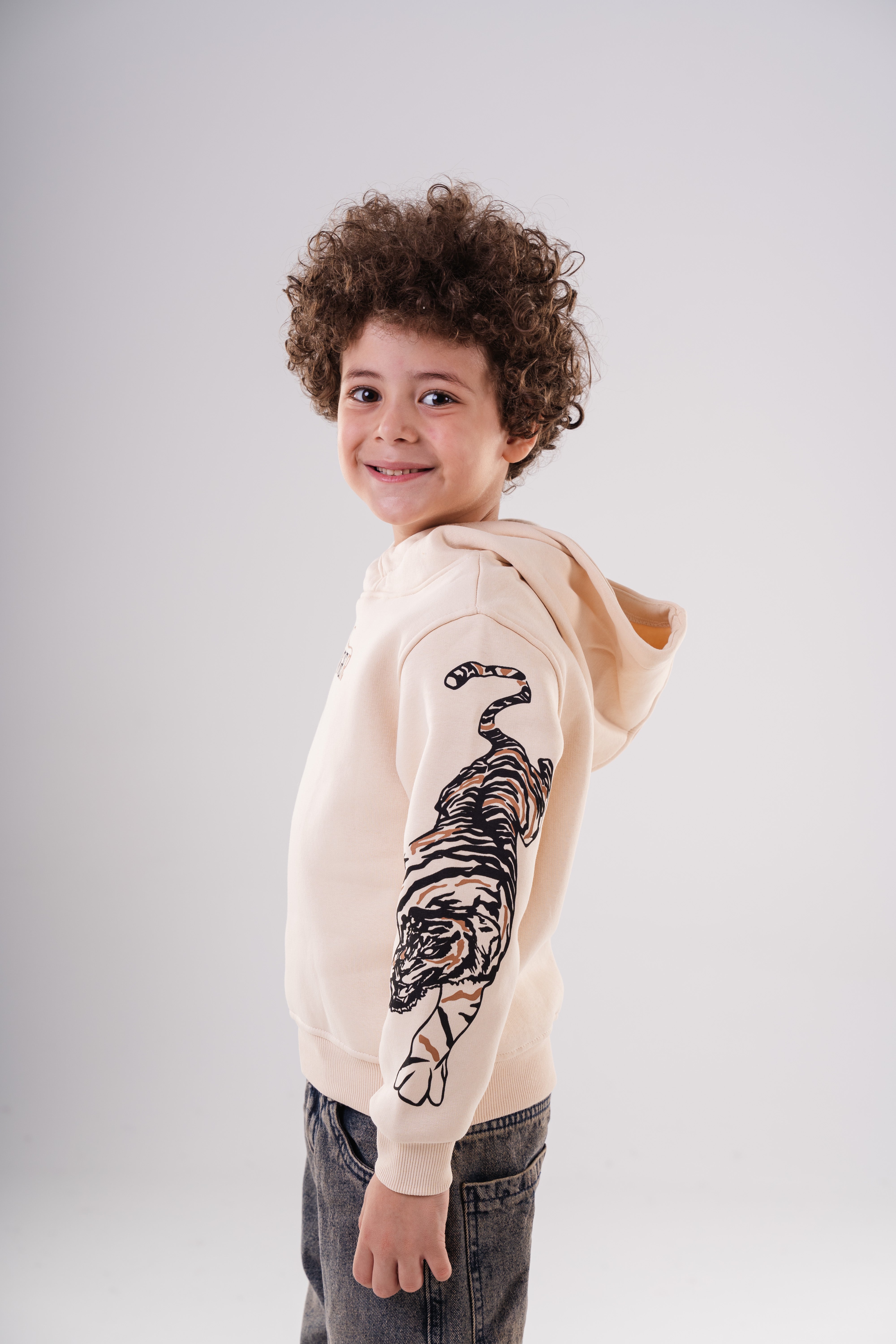 Boy's Tiger Stripe Sleeve Hoodie