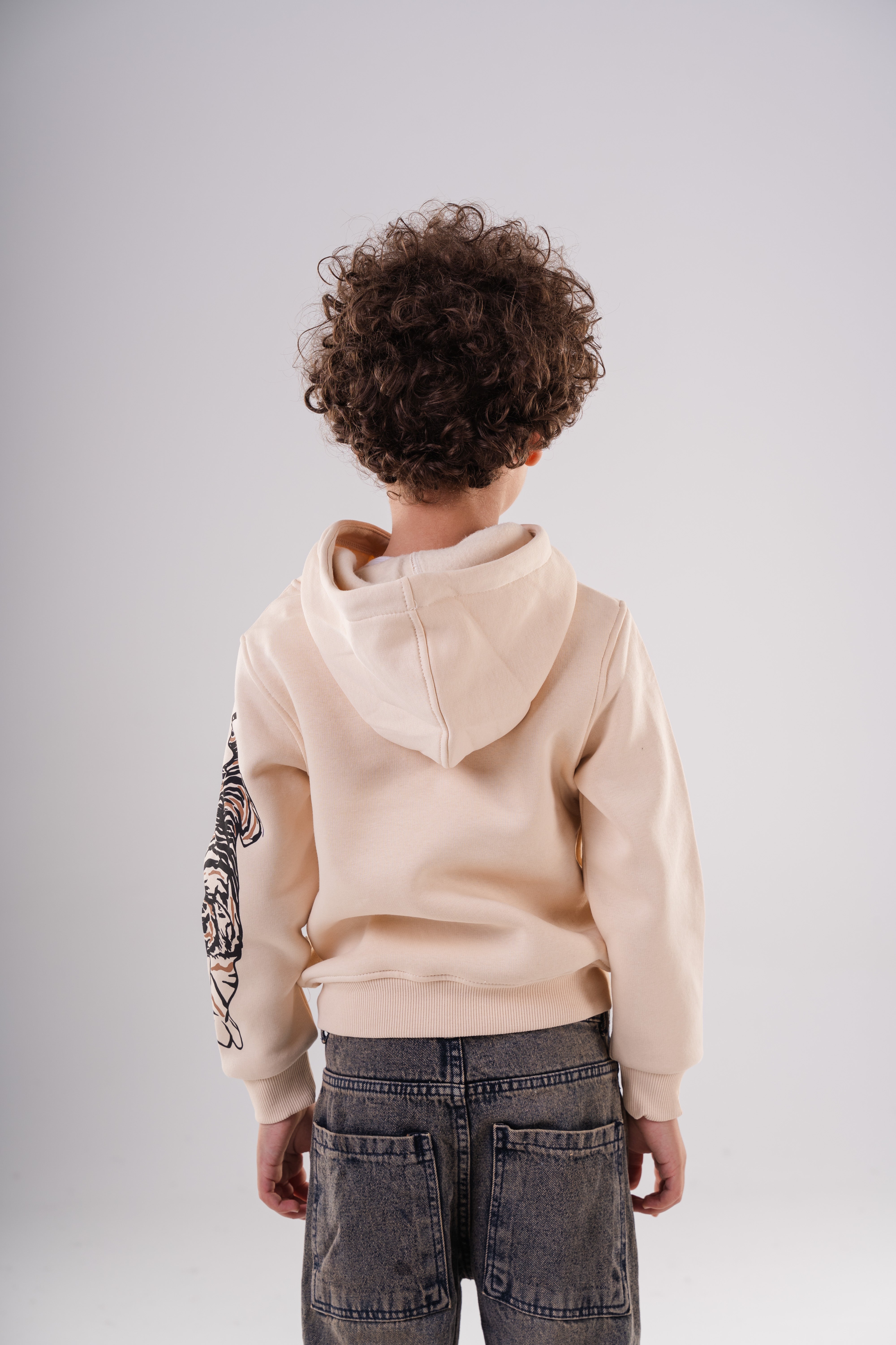 Boy's Tiger Stripe Sleeve Hoodie