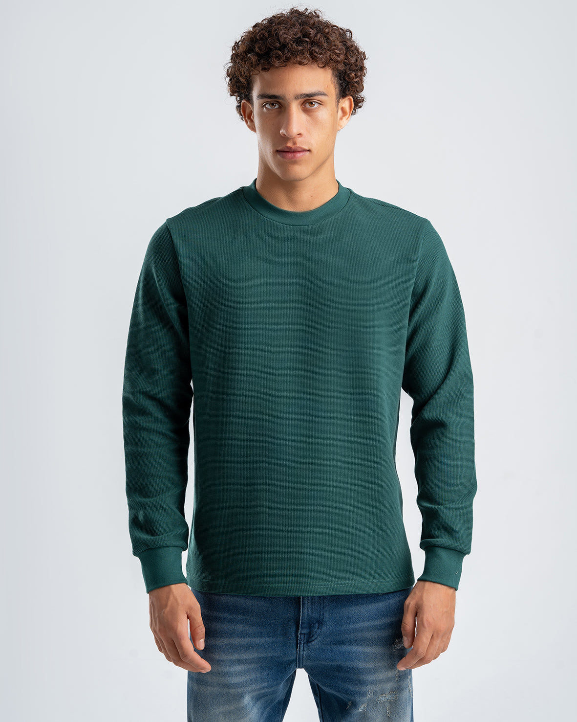 Men's Olive Standard Fit Crew Neck Pullover