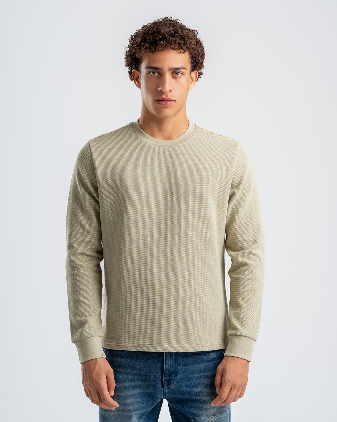 Men's Beige Standard Fit Crew Neck Pullover