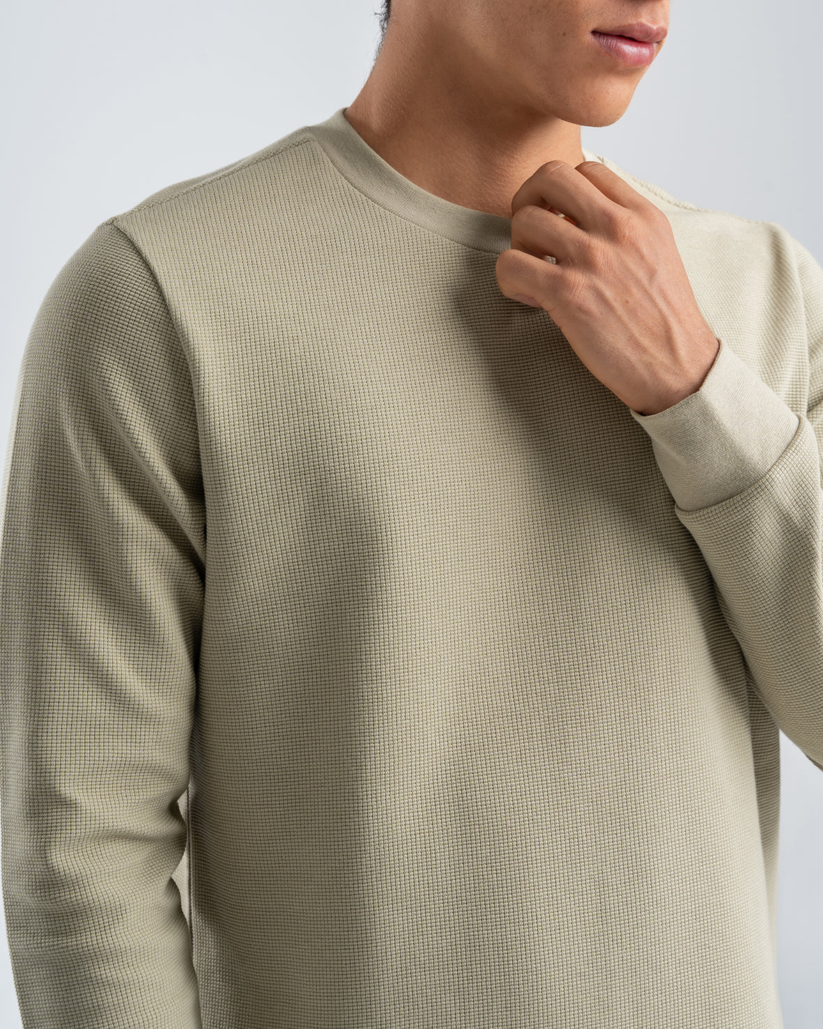 Men's Beige Standard Fit Crew Neck Pullover