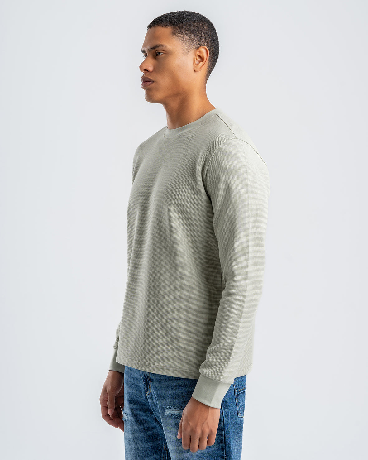 Men's Light Olive Standard Fit Crew Neck Pullover