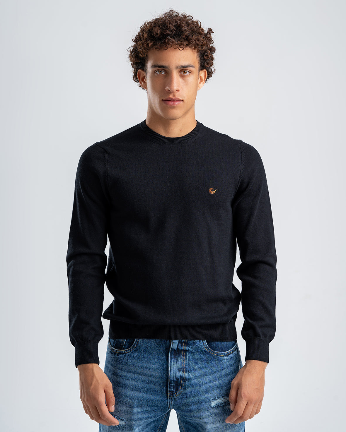 Men's Wool Black Pullover With small embroidery