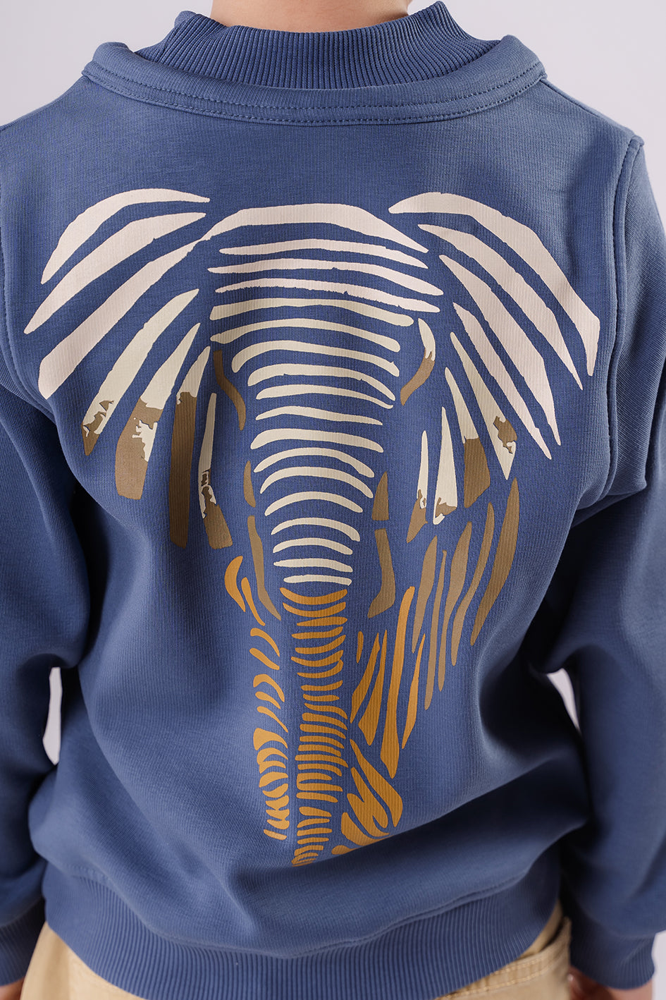 Boys Dark Blue Sweatshirt With Print On Back