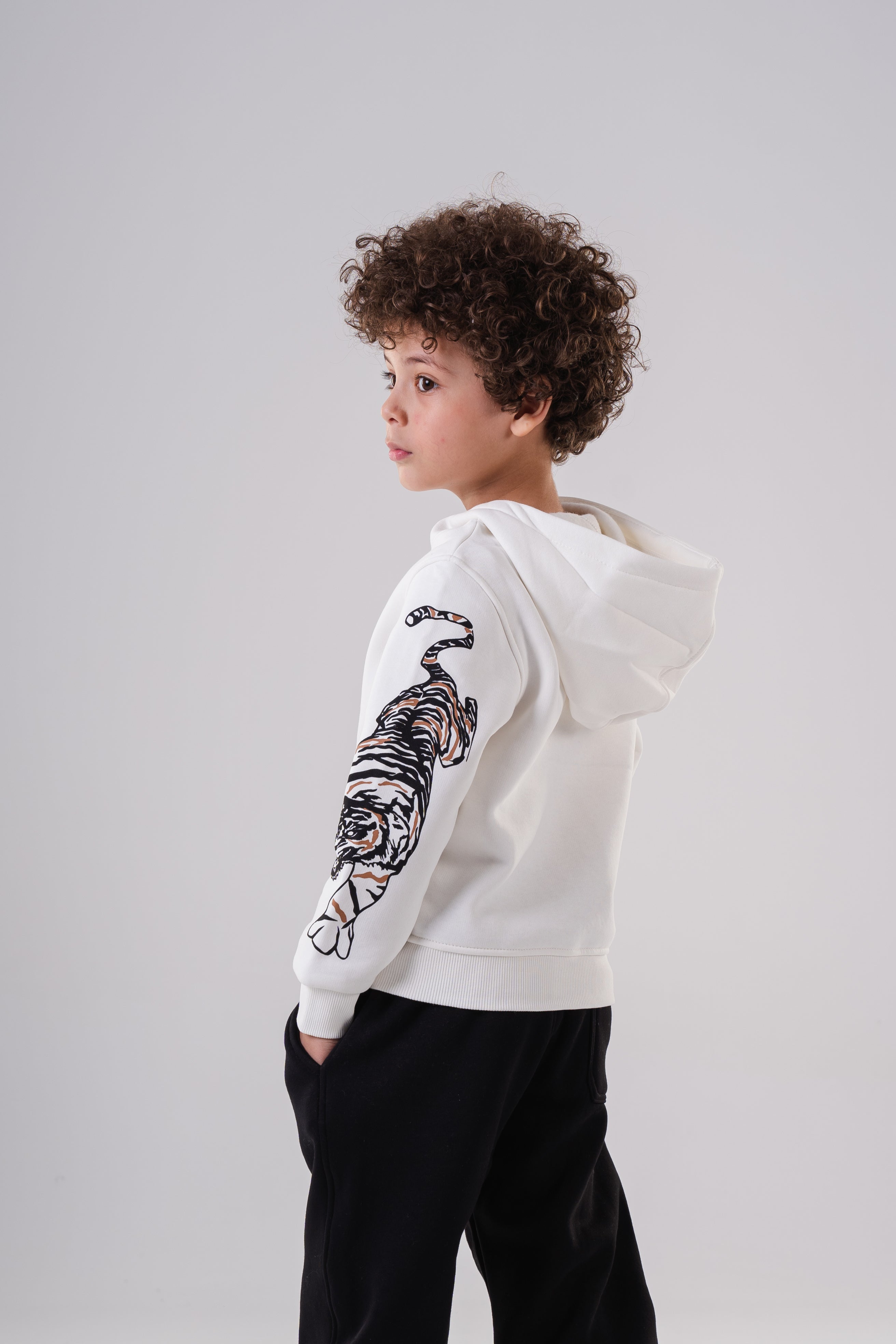 Boy's Tiger Stripe Sleeve Hoodie