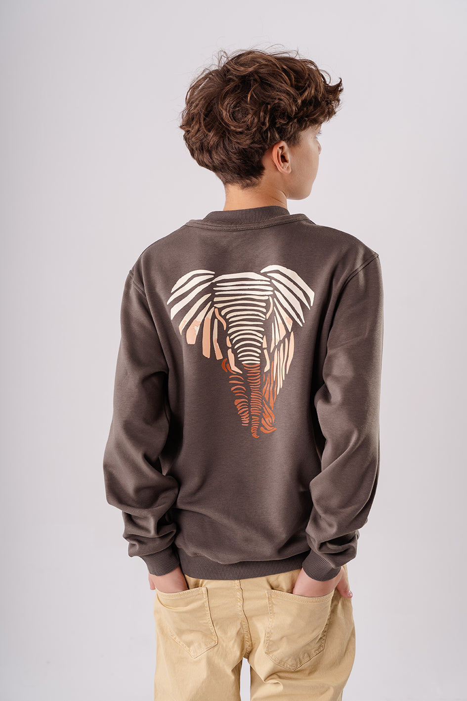 Boys Brown Sweatshirt With Print On Back