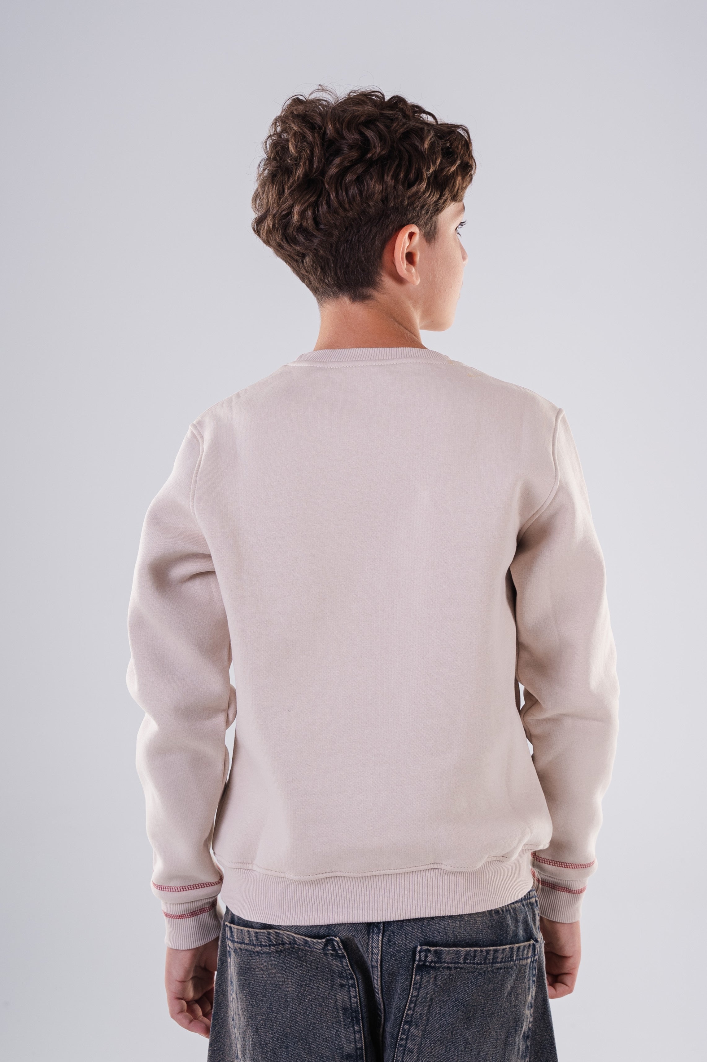 Boy's Crewneck Sweatshirt with  Embroidery