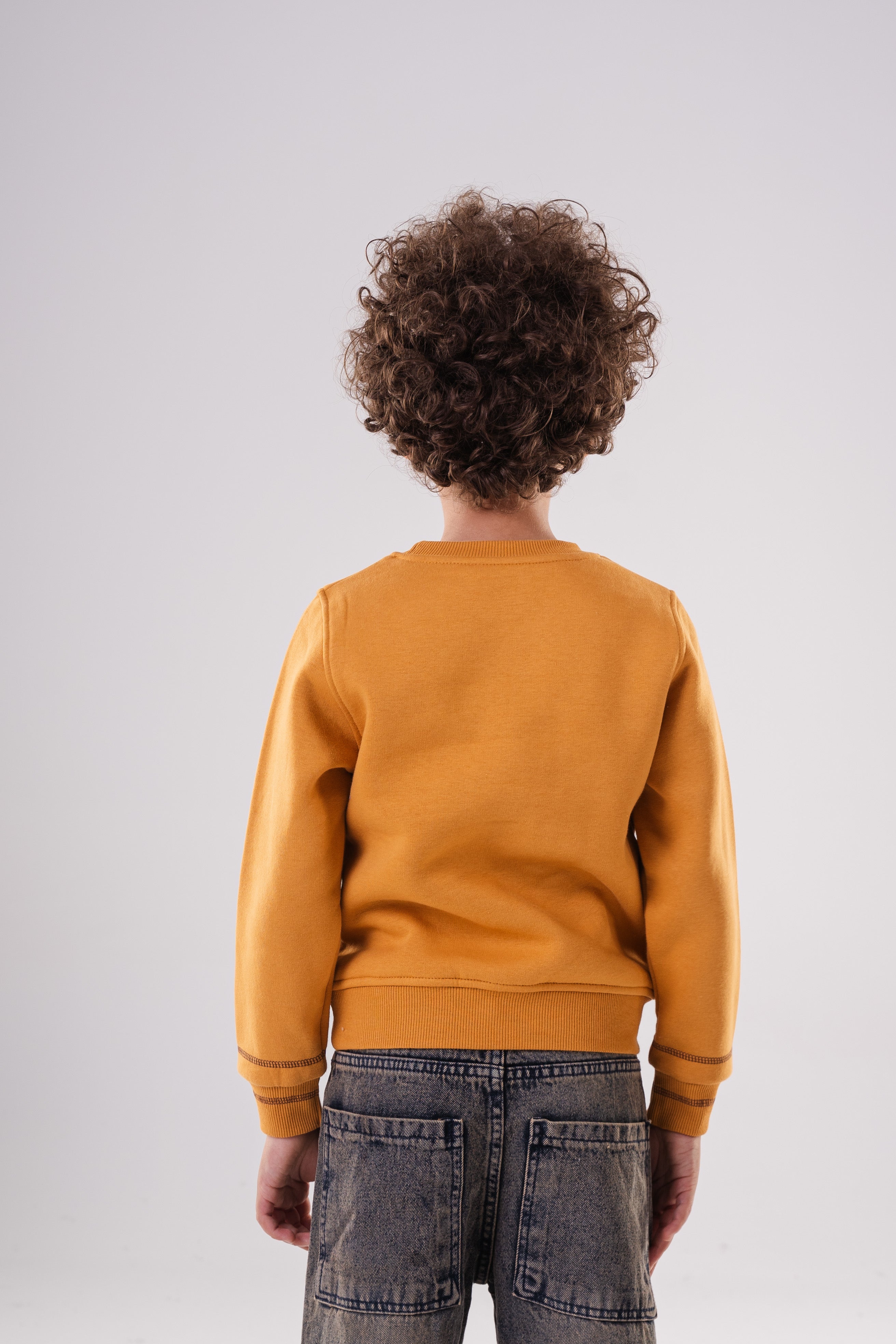 Boy's Crewneck Sweatshirt with  Embroidery