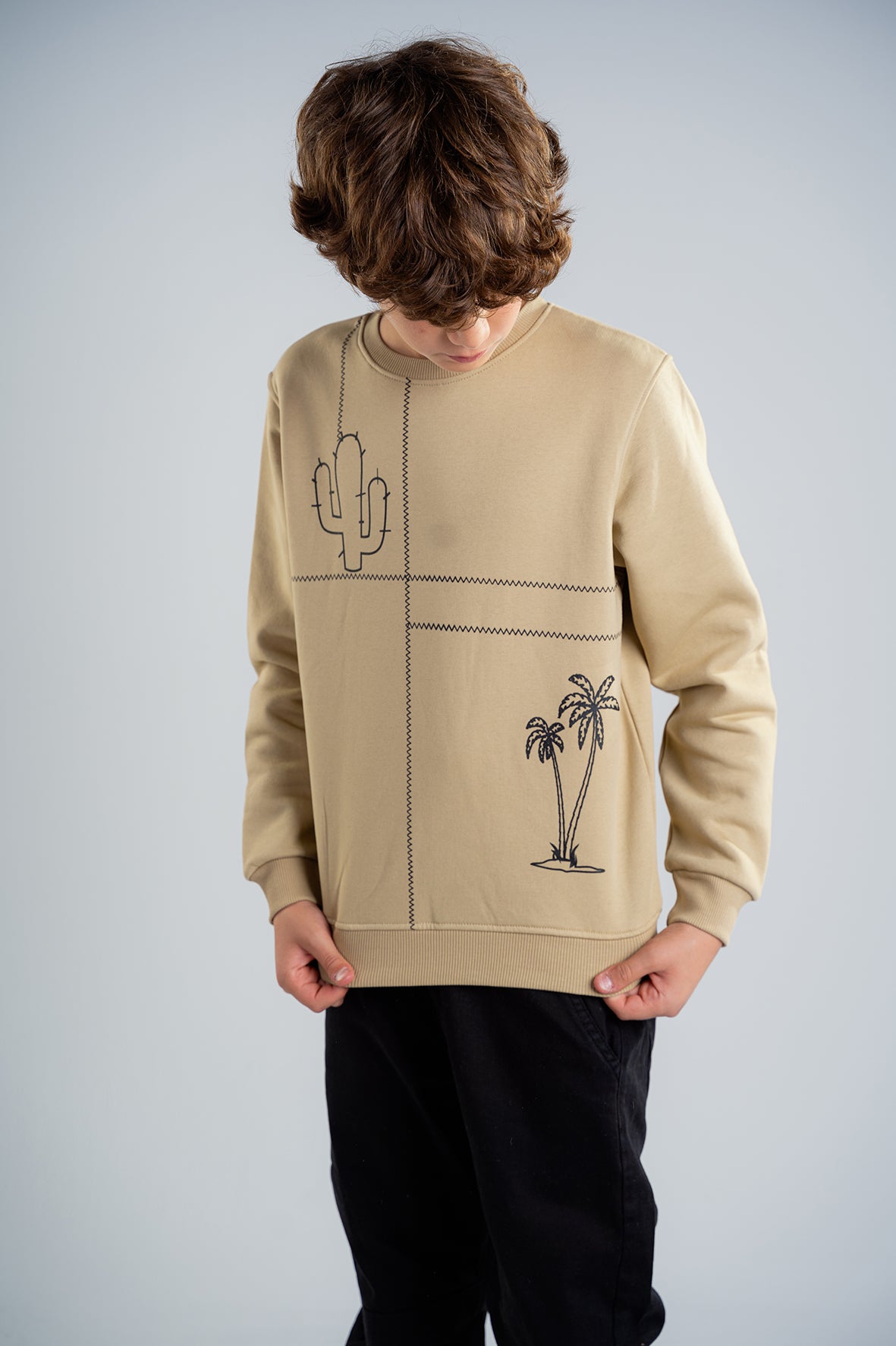 Boys Printed Beige Fleece Sweatshirt