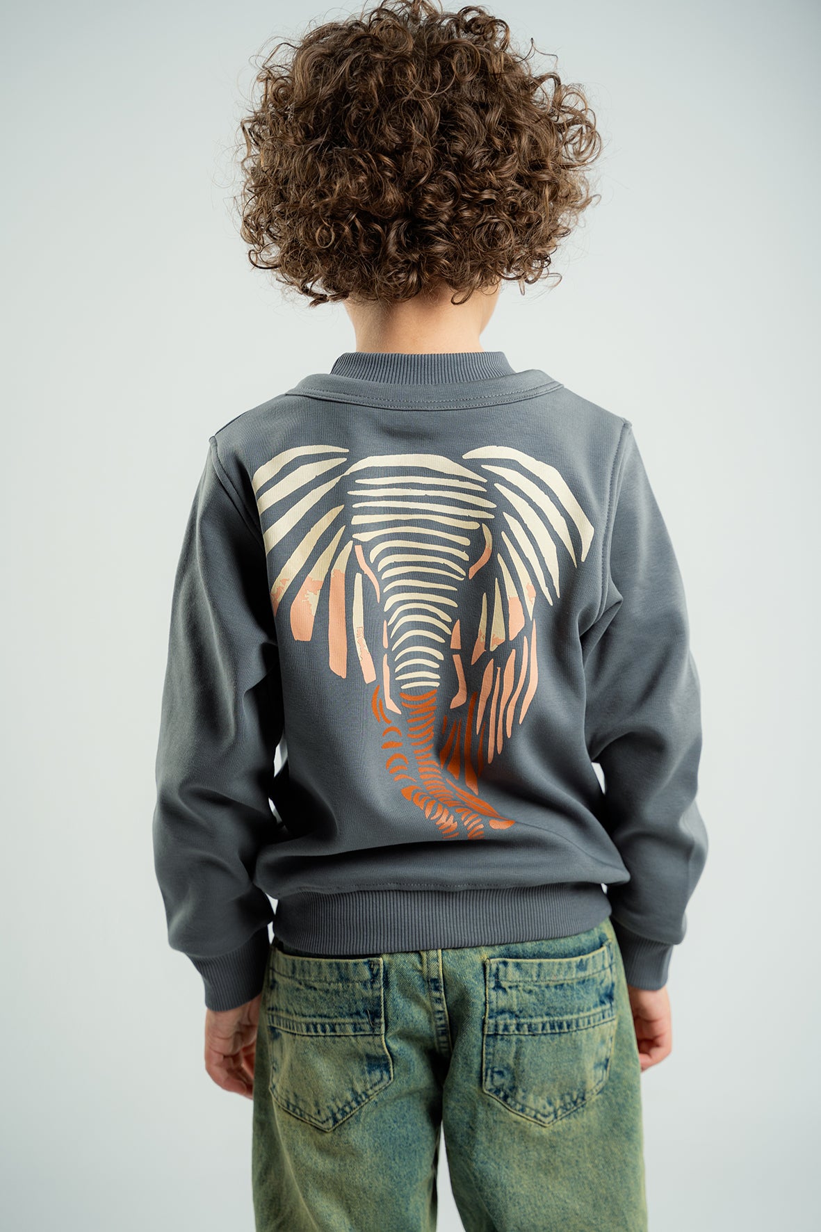 Boys Gray Sweatshirt With Print On Back